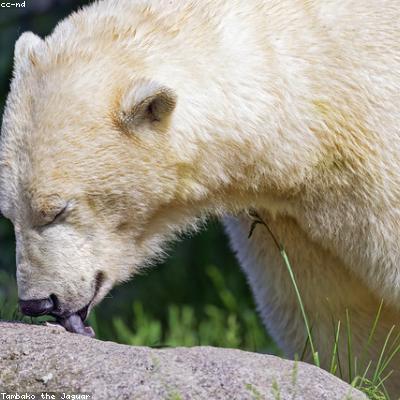 新型智能系统节能